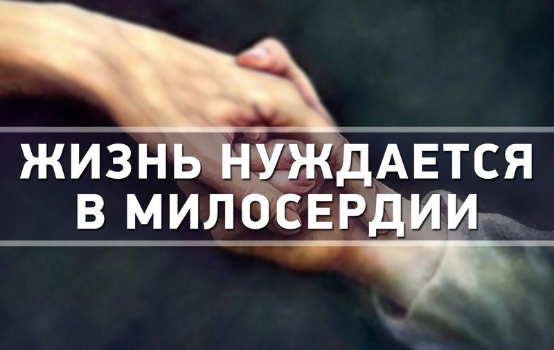 Фото: Новость